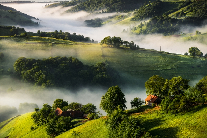 Ioan Chiriac - Pe deal în Holbav.jpg